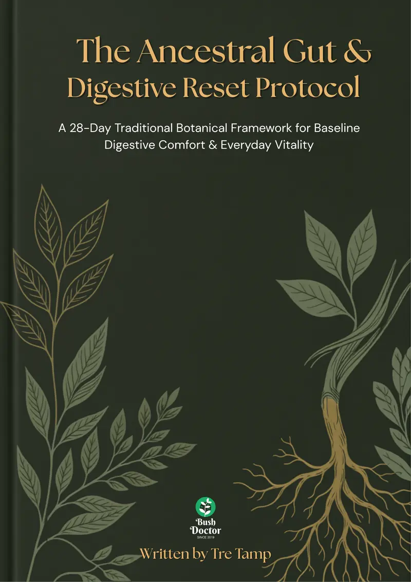 The Ancestral Gut & Digestive Reset Protocol — 28-Day Botanical Wellness Ebook (Digital PDF)