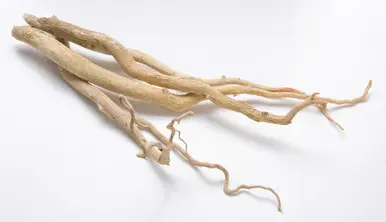Tongkat Ali Root Extract 100g organic powder Increase in testosterone levels Increase in libido Increase in sperm count and quality More powerful ejaculations
