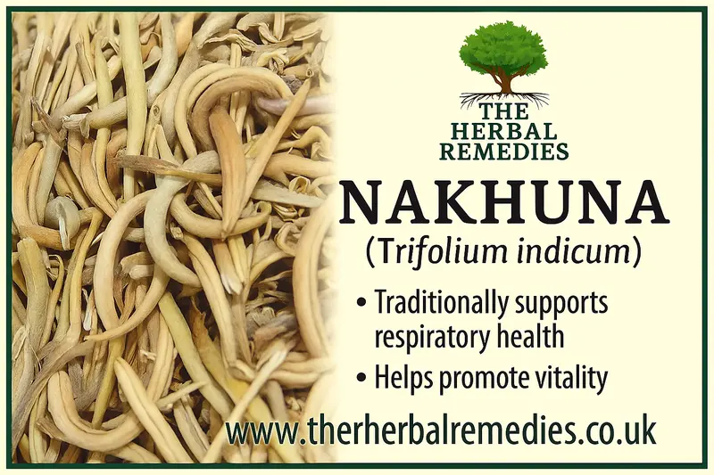 Trifolium indicum , Nakhuna, Nakhoona, Trifolium Indicum