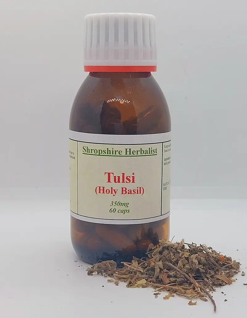 Tulsi (Holy Basil)