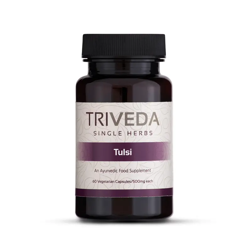 Tulsi (Holy Basil)