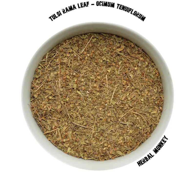 Tulsi (Rama) Leaf  | Ocimum Tenuiflorum | Holy Basil | Premium Botanical