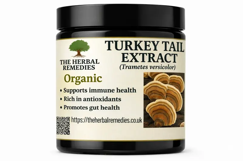 Turkey Tail Mushroom Extract –(Trametes versicolor) immune-supporting properties