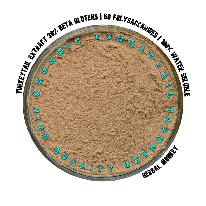 Turkeytail Mushroom Extract 20