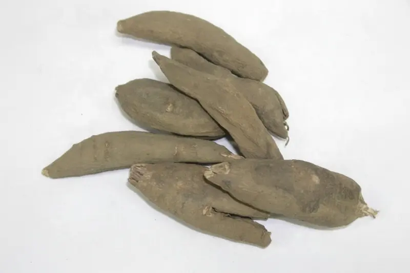 Udsalib (White Peony Root) – Paeonia officinalis