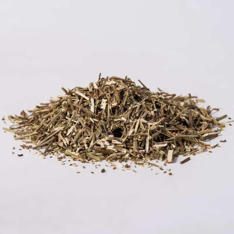 Vervain Herb (Verbena officinalis)