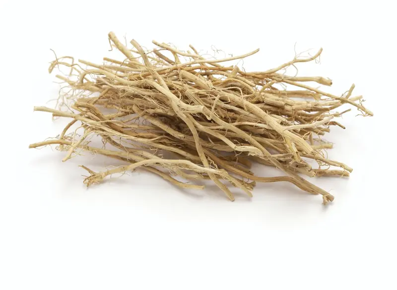 Vetiver (Chrysopogon zizanioides)