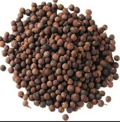 Vidang (Embelia Ribes) – Ayurvedic Herb for Digestive & Wellness Support