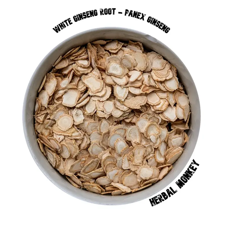 White Ginseng Roots | Panex Ginseng | Korean Ginseng