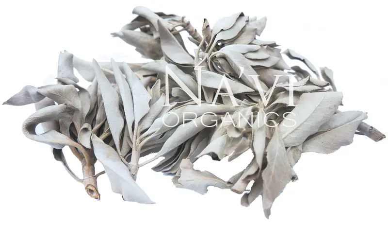 White Sage Sprigs - High Desert Sourced