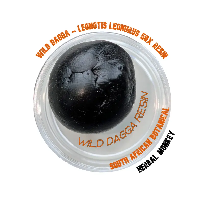 Wild Dagga Soft Resin 50X Extract | Leonotis Leonurus