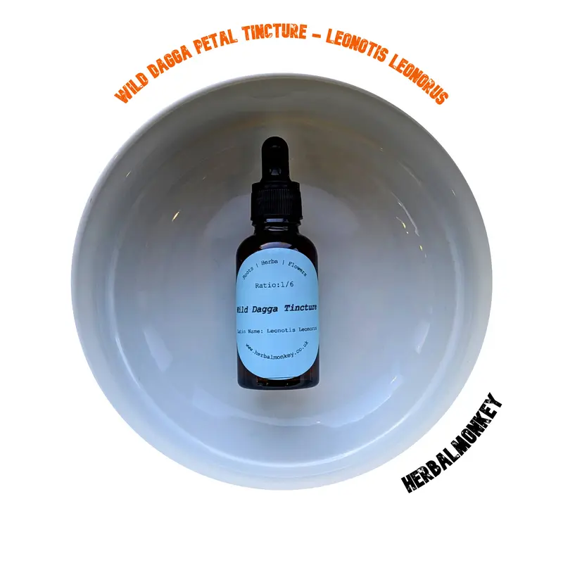 Wild Dagga Tincture – Leonotis leonurus | 30ml (1