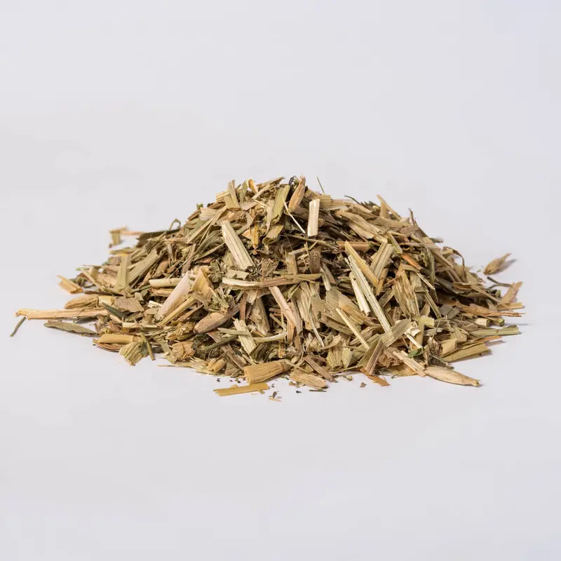 Wild Oat Tops (Avena sativa)