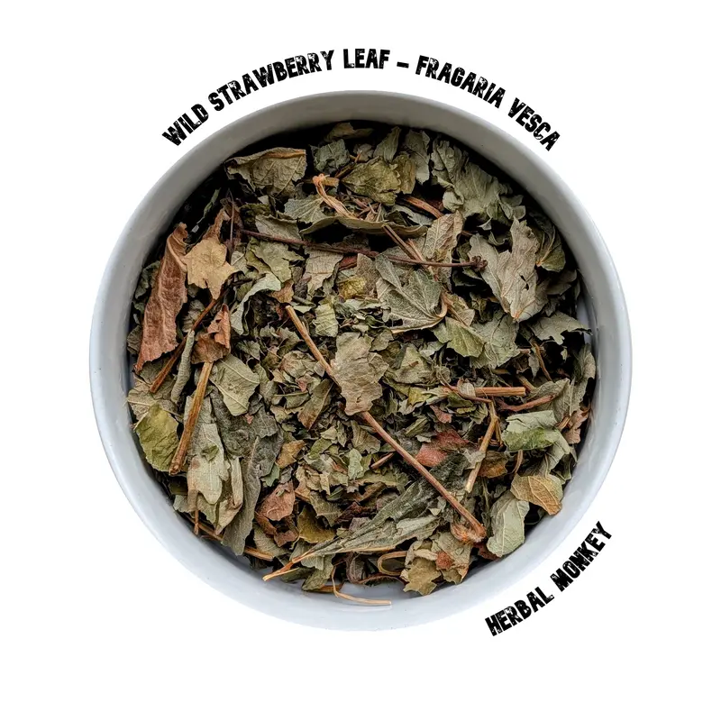 Wild Strawberry Leaf | Fragaria Vesca | Premium Botanical
