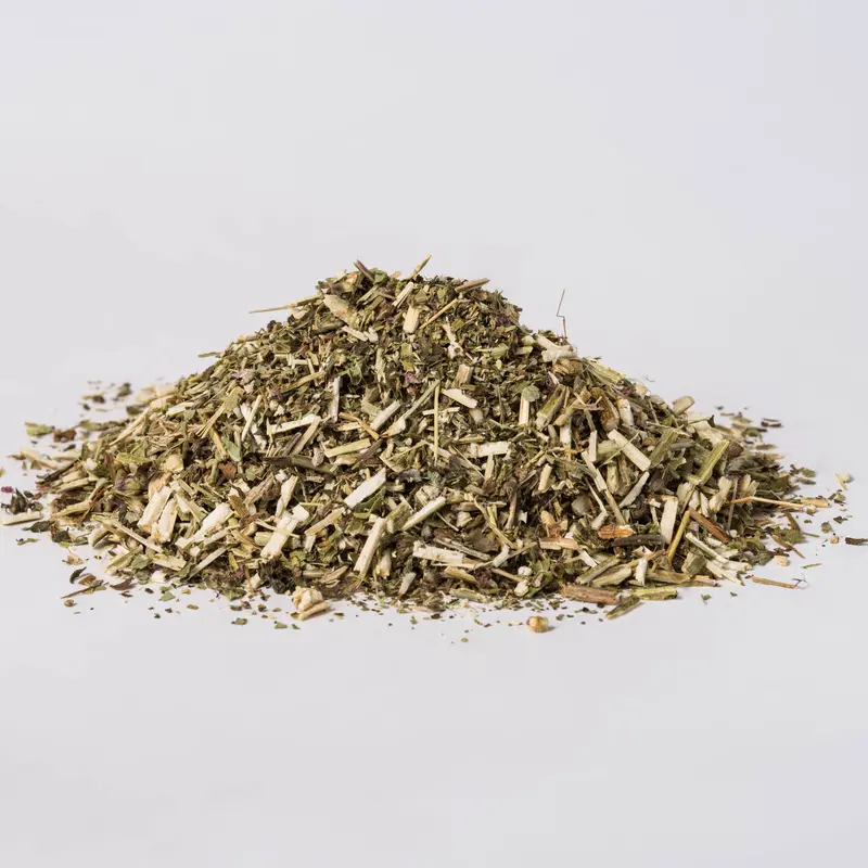 Wood Betony (Stachys Officinalis)