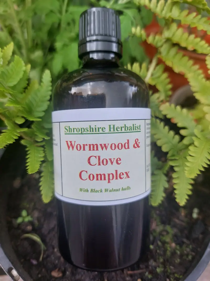 Wormwood and Clove Complex