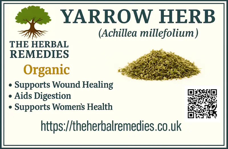 Yarrow Herb (Achillea millefolium) Traditional Herbal Botanical for Balance, Digestion & Daily Wellness