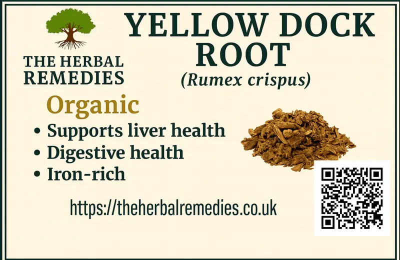 Yellow Dock Root (Rumex crispus) | Liver, Digestive & Skin Clarity Support