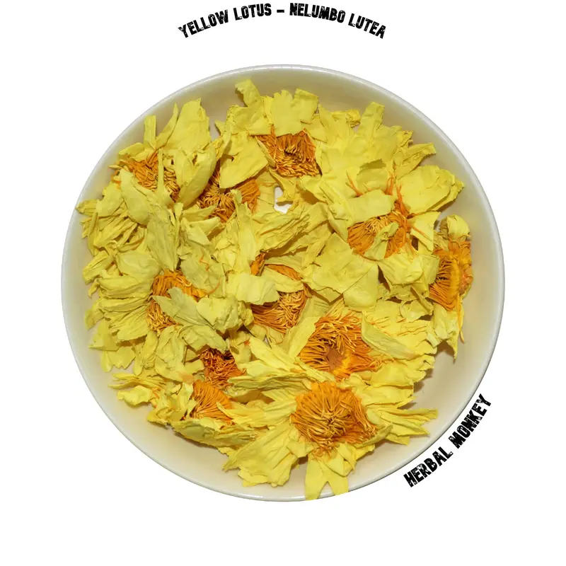 Yellow Lotus Flowers – Nelumbo lutea | Whole or Chopped Petals for Ceremonial Use